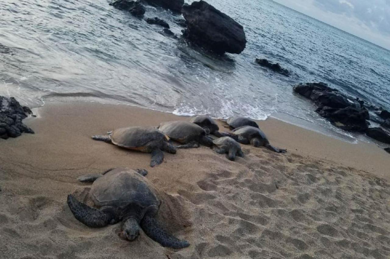 Вилла Mahina Surf I Napili-Honokowai Экстерьер фото